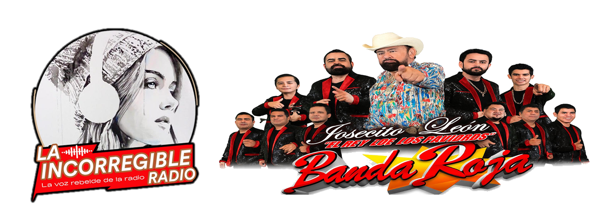 1 bannerbanda ms 2026